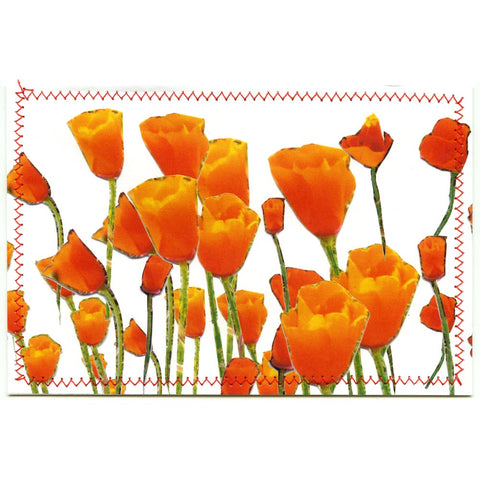 California Poppies Postcard